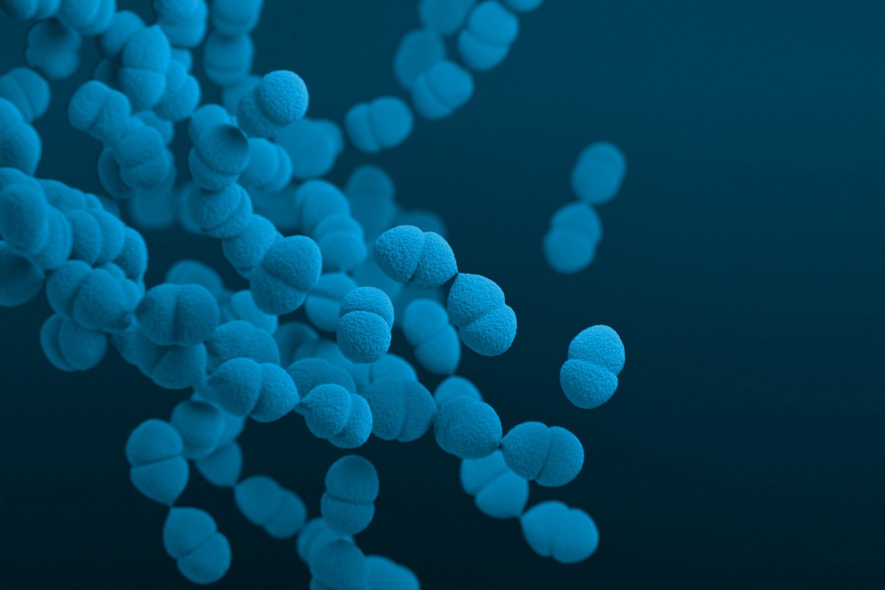 Image of a germ